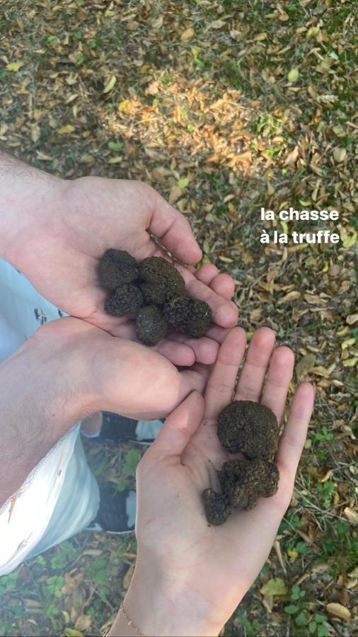Gite La Borie Du Bois Sarlat Saint-Andre-d'Allas Eksteriør billede