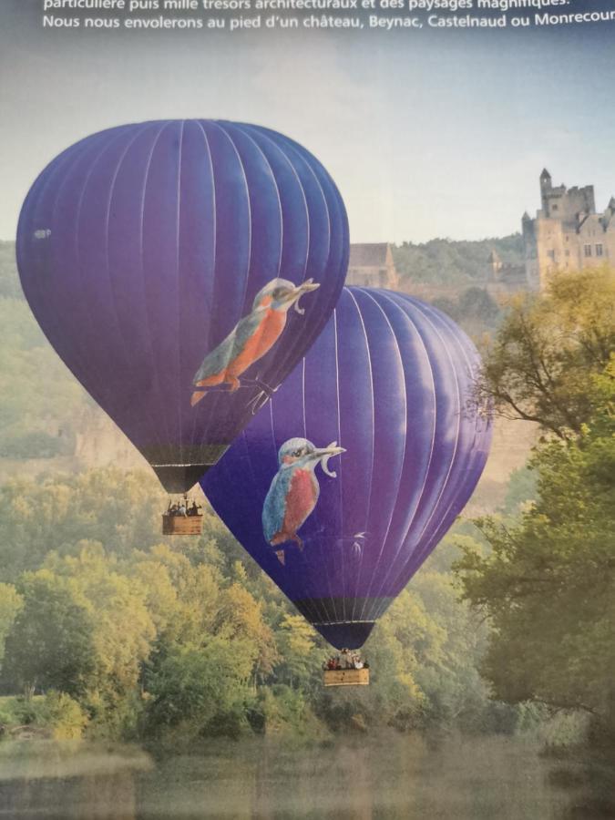 Gite La Borie Du Bois Sarlat Saint-Andre-d'Allas Eksteriør billede