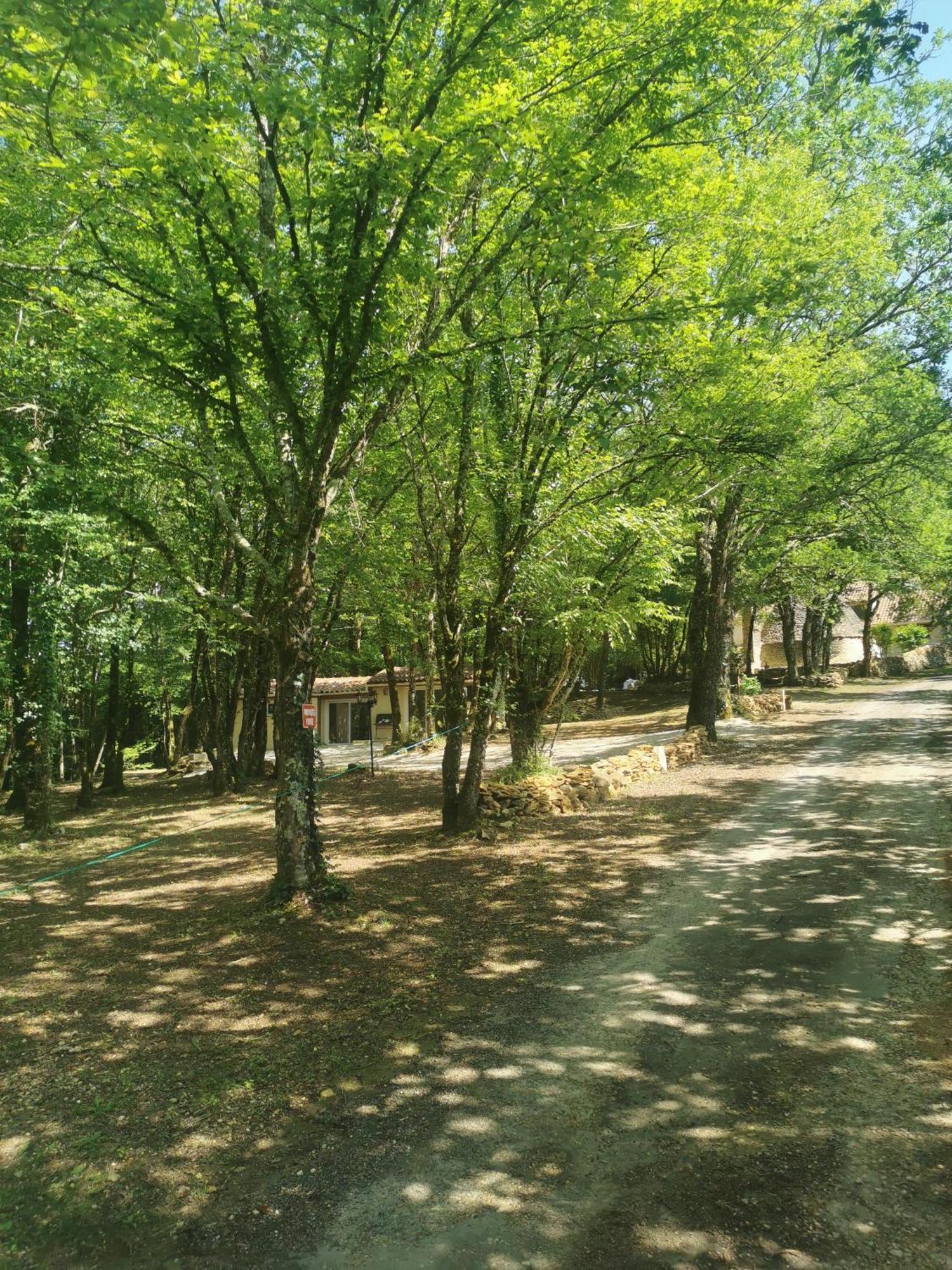 Gite La Borie Du Bois Sarlat Saint-Andre-d'Allas Eksteriør billede